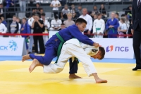 Детская Лига «ЛОКОДЗЮДО». Благовещенск