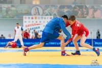 Всероссийские соревнования по самбо. 3 этап детской лиги «ЛокоСамбо»