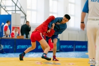 Всероссийские соревнования по самбо. 3 этап детской лиги «ЛокоСамбо»