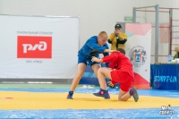 Всероссийские соревнования по самбо. 3 этап детской лиги «ЛокоСамбо»