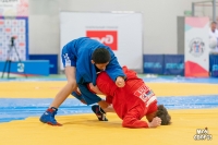 Всероссийские соревнования по самбо. 3 этап детской лиги «ЛокоСамбо»