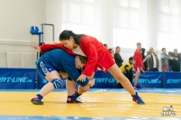 Всероссийские соревнования по самбо. 3 этап детской лиги «ЛокоСамбо»