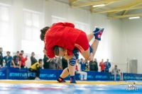 Всероссийские соревнования по самбо. 3 этап детской лиги «ЛокоСамбо»