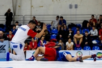 Всероссийские соревнования по самбо. 4 этап детской лиги «ЛокоСамбо»