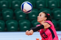 Кубок ОАО «РЖД» по волейболу среди мужских и женских команд (Лига А)