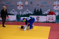 Кубок Вызова РФСО «Локомотив» по дзюдо