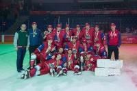 Кубок ОАО «РЖД» и РОСПРОФЖЕЛ по хоккею с шайбой