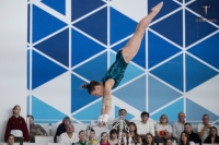 1/2 Финала Гимнастической Премьер - Лиги