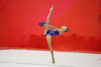 Открытый Кубок РФСО «Локомотив» по художественной гимнастике