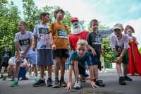 Спортивный семейный фестиваль здорового образа жизни «ЛокоЛето»